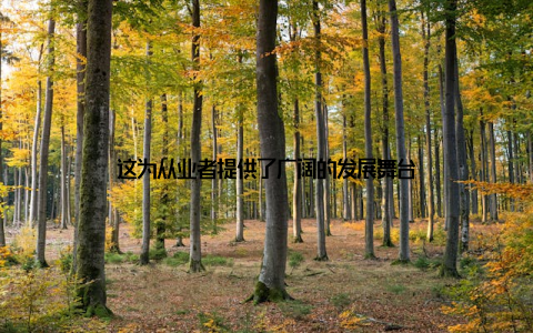 这为从业者提供了广阔的发展舞台