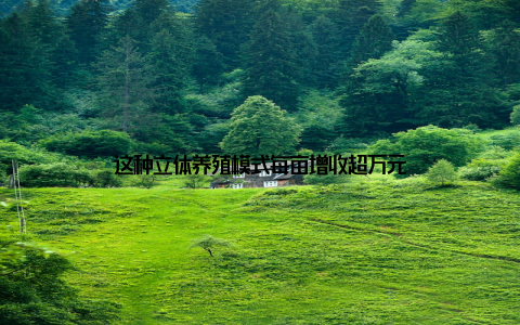 这种立体养殖模式每亩增收超万元