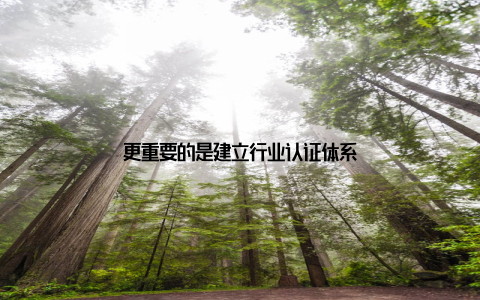 更重要的是建立行业认证体系