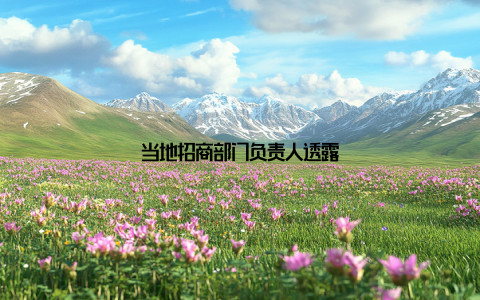 当地招商部门负责人透露
