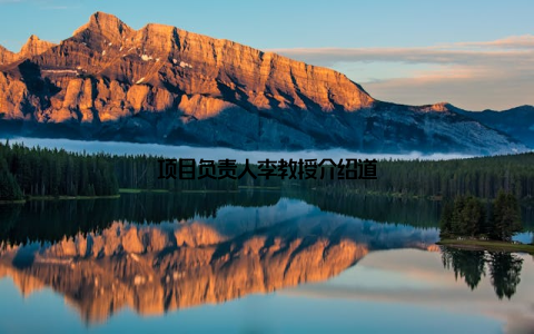 项目负责人李教授介绍道