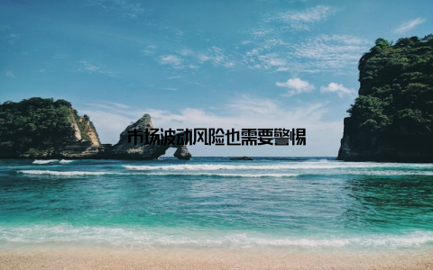 市场波动风险也需要警惕