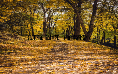 结果有的鱼撑死, 有的饿得瘦小