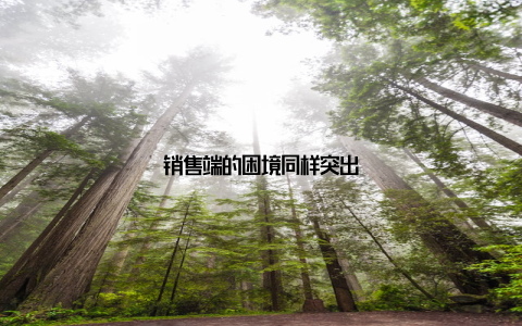 销售端的困境同样突出
