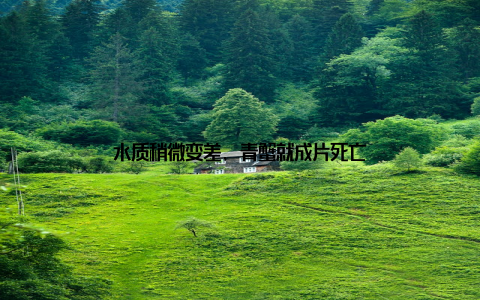 水质稍微变差, 青蟹就成片死亡