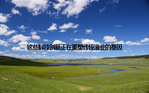 这些科技创新正在重塑传统渔业的基因