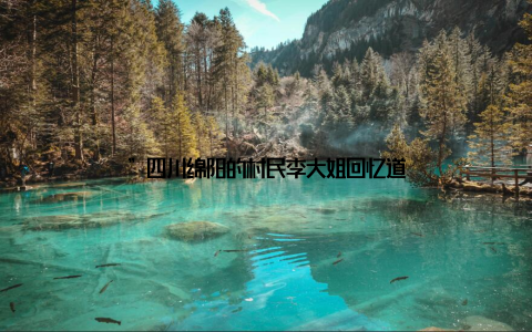 ”四川绵阳的村民李大姐回忆道