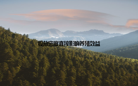 投放密度直接影响养殖效益