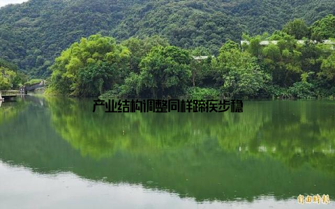 产业结构调整同样蹄疾步稳