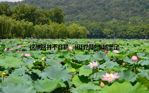 这条路并不容易, 但我却越走越坚定