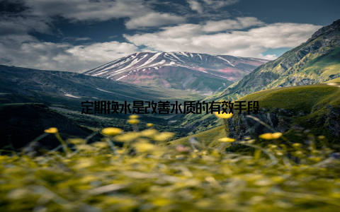 定期换水是改善水质的有效手段