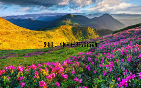 对此, 业内已开始行动