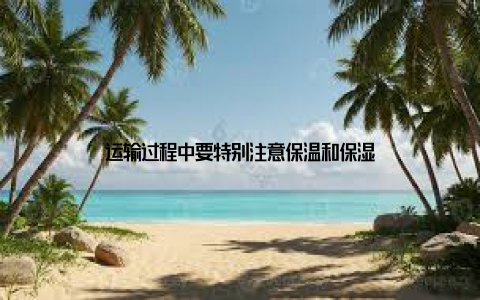 运输过程中要特别注意保温和保湿