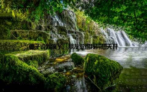 妻子说我疯了, 朋友觉得我异想天开