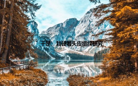 ”于是, 我硬着头皮继续研究