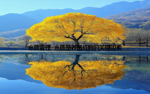 水质管理 水质是养鱼成败的关键因素