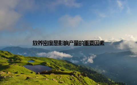 放养密度是影响产量的重要因素