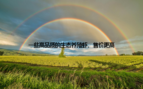 一些高品质的生态养殖虾, 售价更高