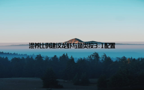 混养比例建议龙虾与鱼类按3:1配置