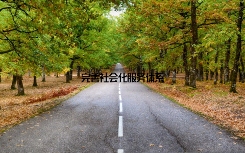 完善社会化服务体系