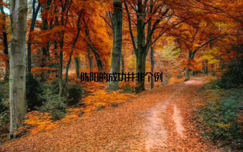 陈阳的成功并非个例