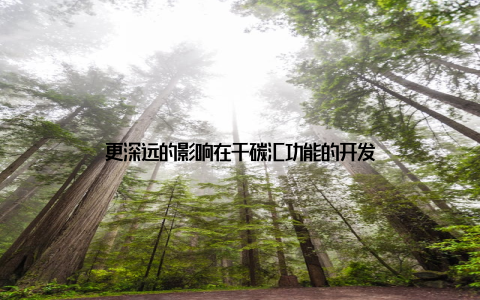 更深远的影响在于碳汇功能的开发