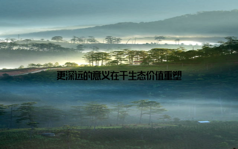 更深远的意义在于生态价值重塑
