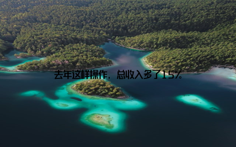 去年这样操作, 总收入多了15%