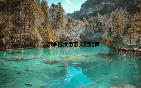 ”基地技术负责人解释道