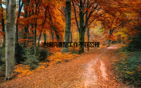 池塘的清整工作不容忽视