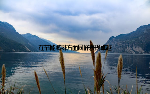 在节能减排方面同样表现卓越