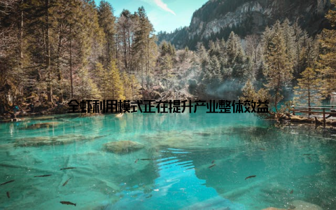 全虾利用模式正在提升产业整体效益