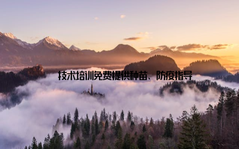 – 技术培训免费提供种苗、防疫指导