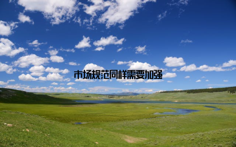 市场规范同样需要加强