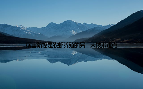 病害防控是农虾养殖的另一大技术难点