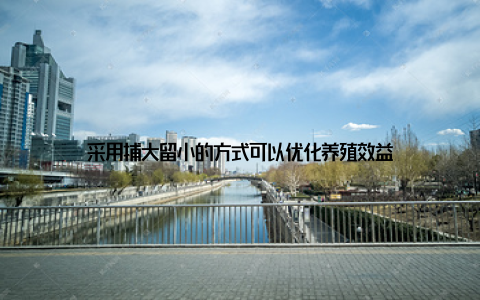 采用捕大留小的方式可以优化养殖效益