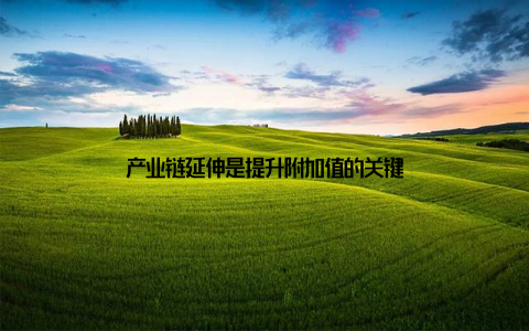产业链延伸是提升附加值的关键