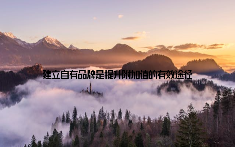 建立自有品牌是提升附加值的有效途径