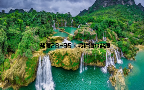 – 盐度28-35‰接近海水盐度