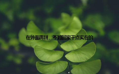在外面再拼, 不如回家干点实在的