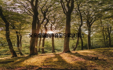 父亲虚弱的声音至今萦绕耳边