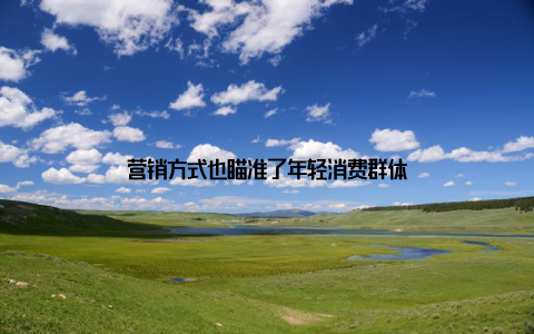 营销方式也瞄准了年轻消费群体