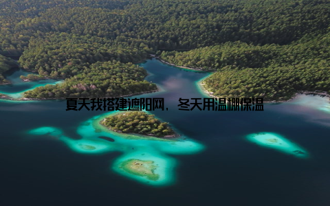 夏天我搭建遮阳网, 冬天用温棚保温
