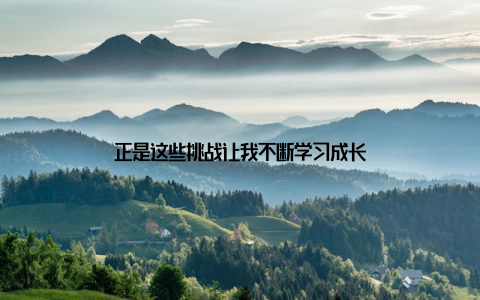 正是这些挑战让我不断学习成长