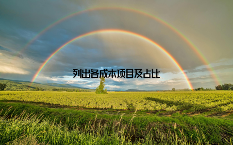 列出各成本项目及占比
