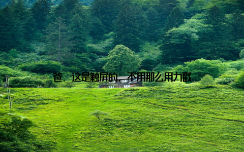 爸, 这是触屏的, 不用那么用力戳