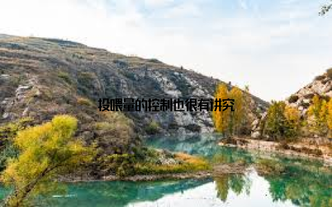 投喂量的控制也很有讲究
