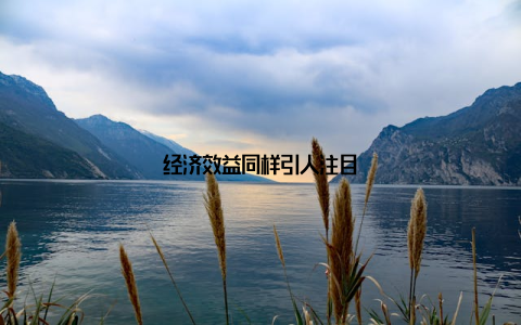 经济效益同样引人注目