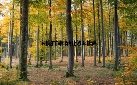 家蝇的饲料转化效率极高