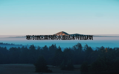 寒冷地区需预防水面结冰导致缺氧
